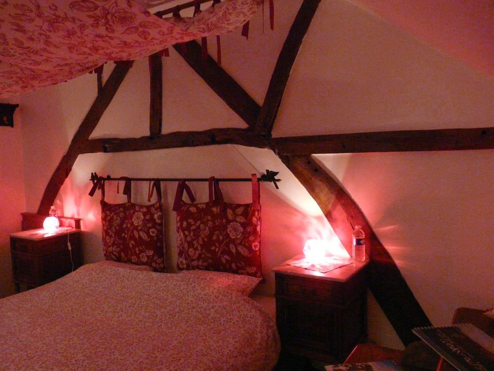 B&B Aux Gaietes De La Sabotiere Seloignes Luaran gambar